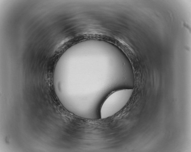 X0000095910870200801110825