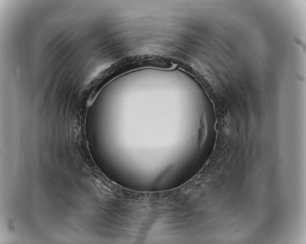 X0000095910872200801110825