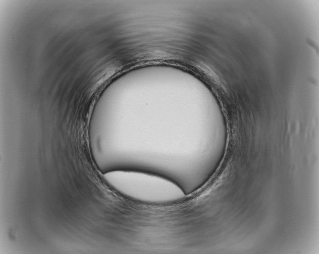 X0000095910873200801110825