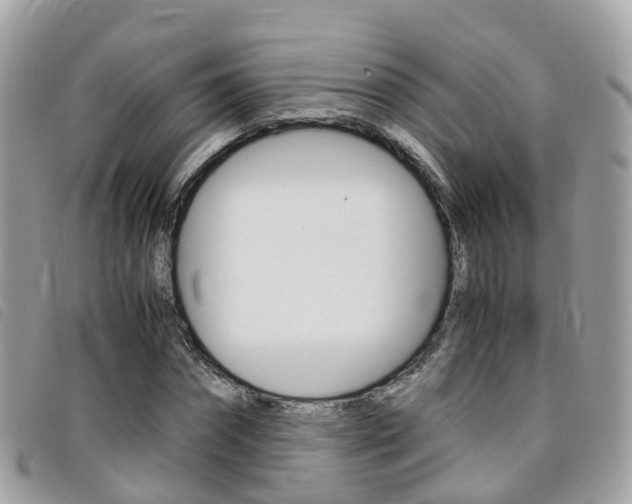 X0000095910874200801110825