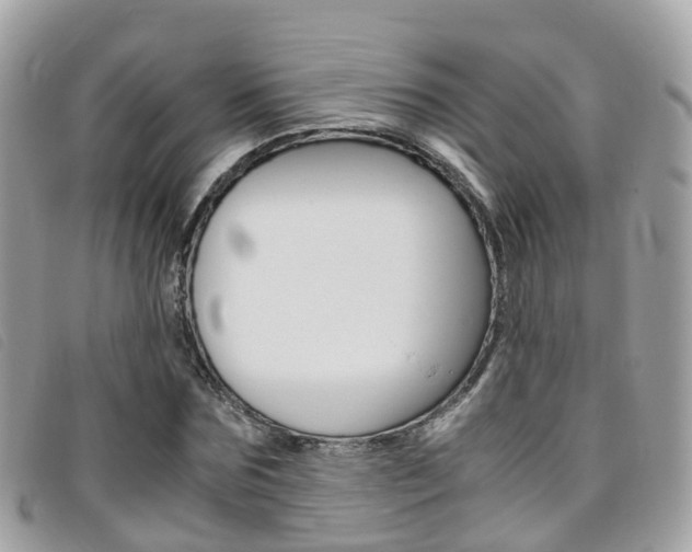X0000095910875200801110825