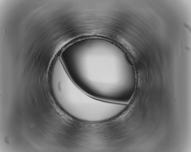 X0000095910876200801110825