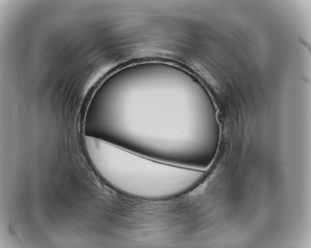 X0000095910877200801110825