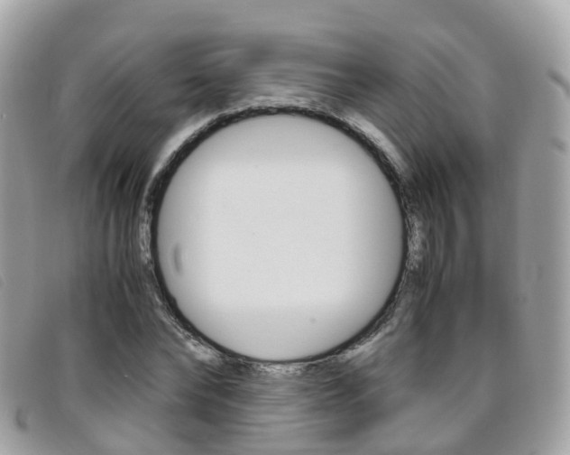 X0000095910878200801110825