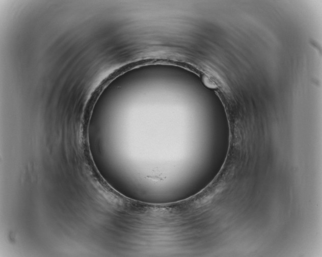 X0000095910880200801110825