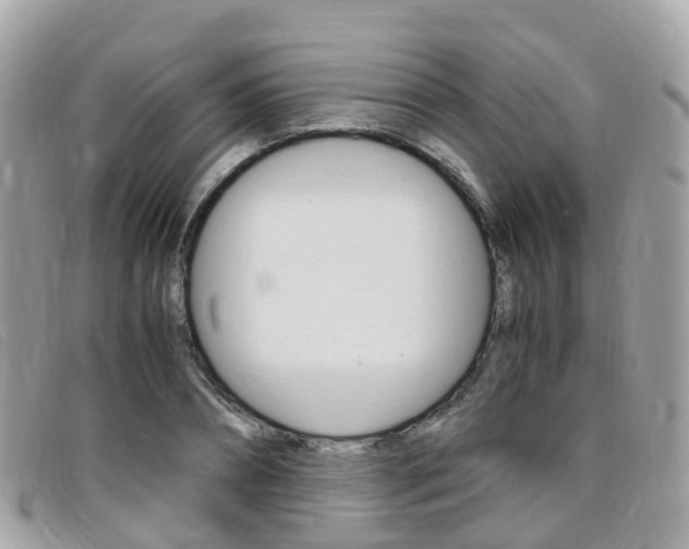X0000095910882200801110825