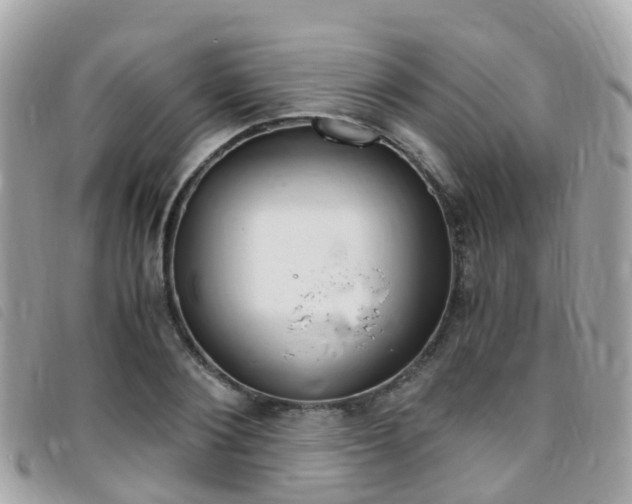 X0000095910884200801110825