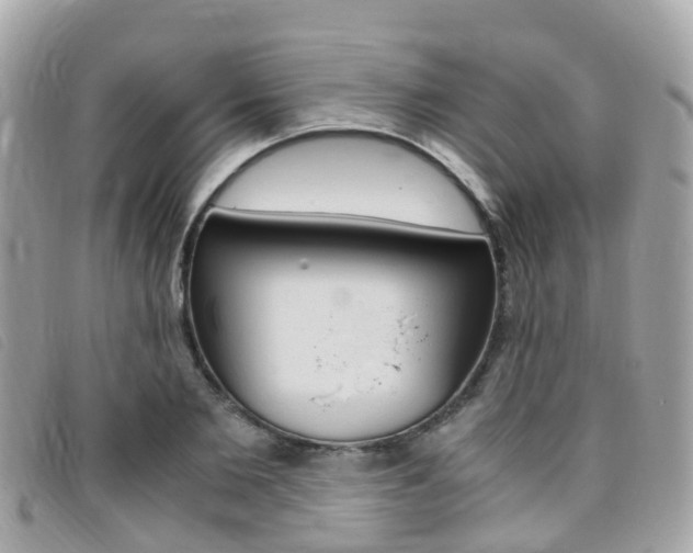 X0000095910885200801110825