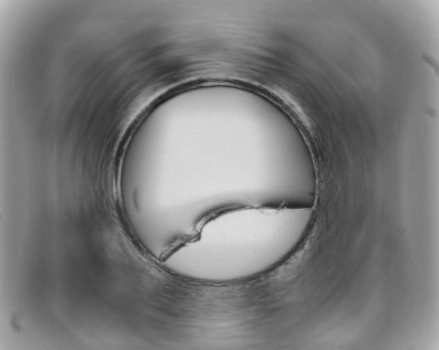 X0000095910887200801110825