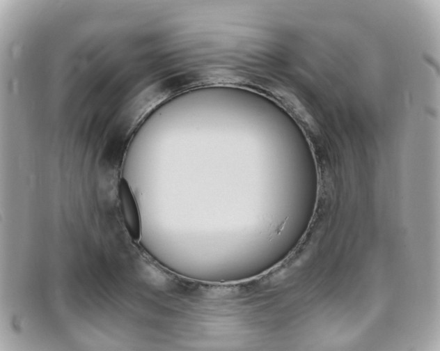 X0000095910889200801110825
