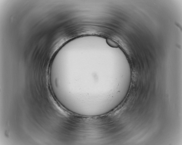 X0000095910890200801110825