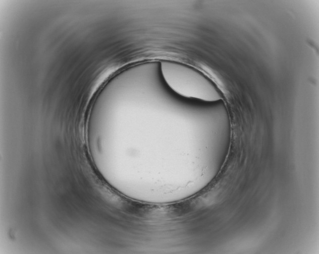 X0000095910891200801110825