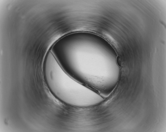 X0000095910892200801110824