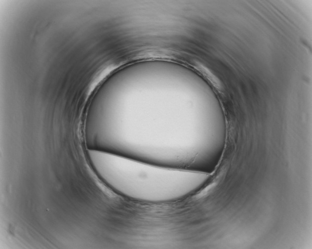 X0000095910893200801110824