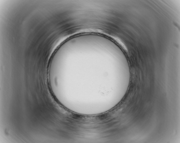 X0000095910895200801110824