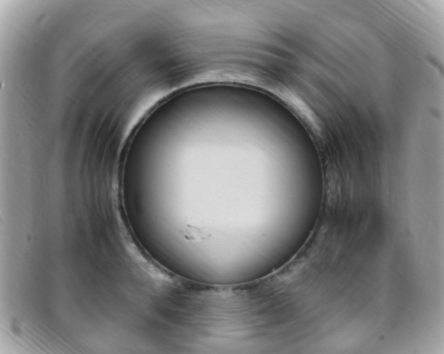 X0000095910896200801110824