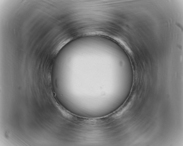 X0000095910897200801110824