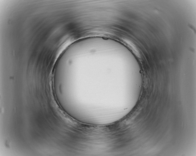 X0000095910899200801110824