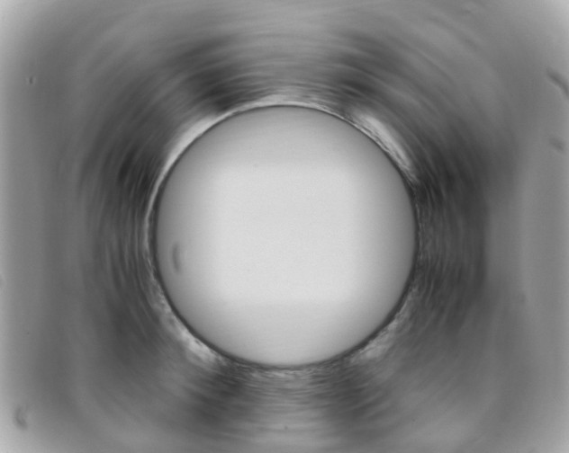 X0000095910900200801110824