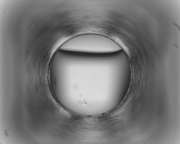 X0000095910901200801110824