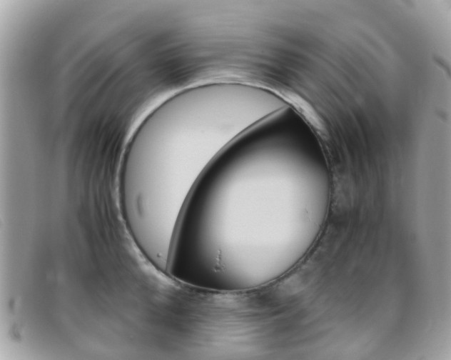 X0000095910904200801110824
