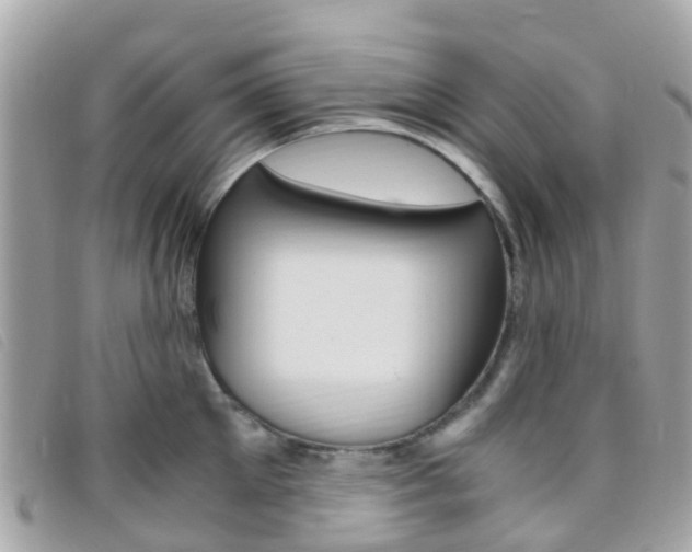 X0000095910905200801110824