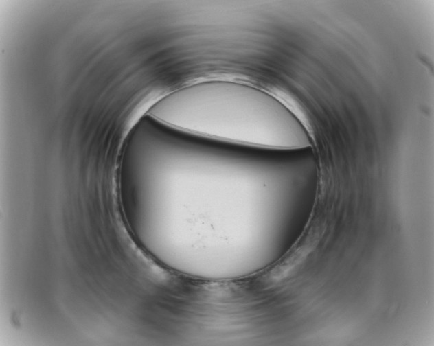 X0000095910906200801110824