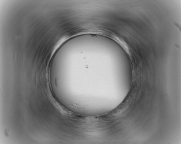 X0000095910907200801110824