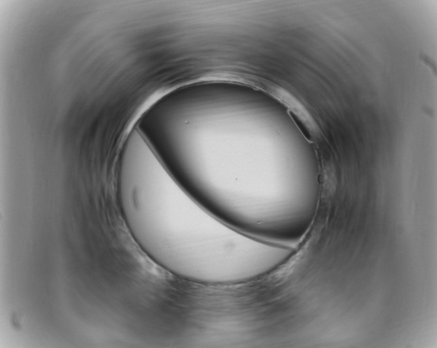 X0000095910908200801110824