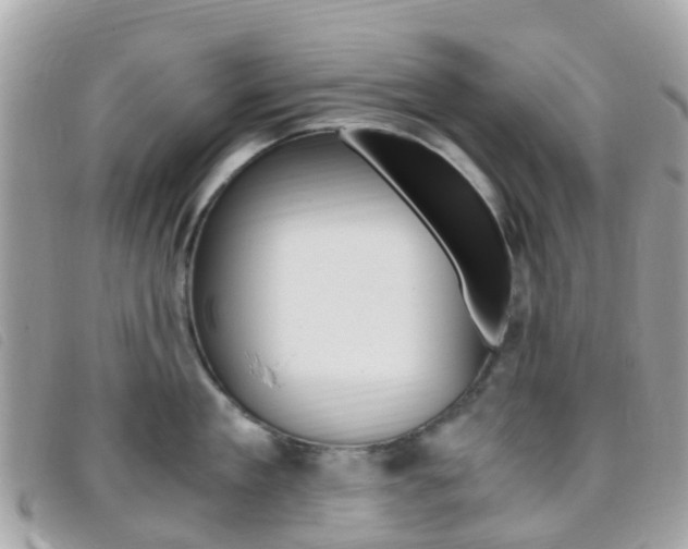 X0000095910909200801110824