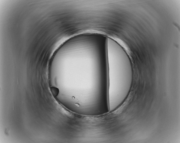 X0000095910910200801110824