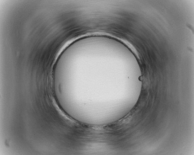 X0000095910911200801110824