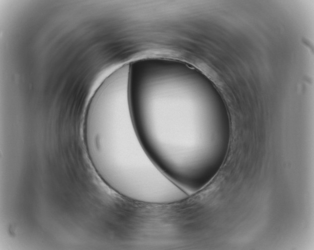 X0000095910912200801110824