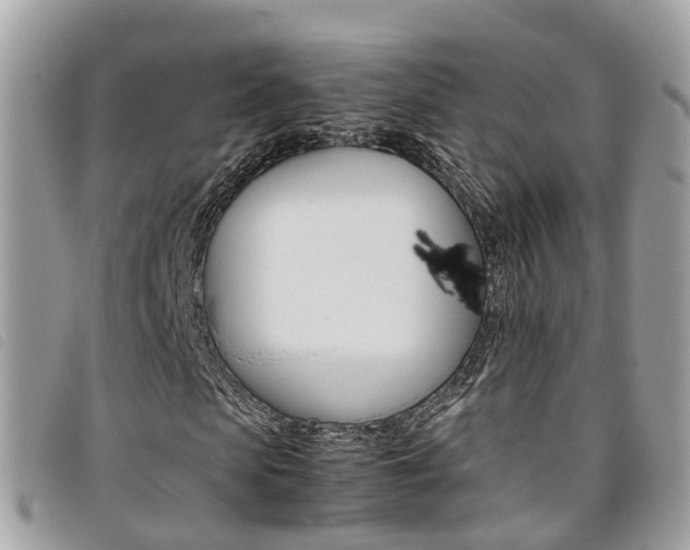 X0000095910913200801110824
