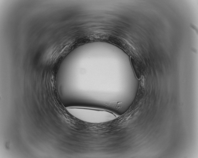 X0000095910915200801110824