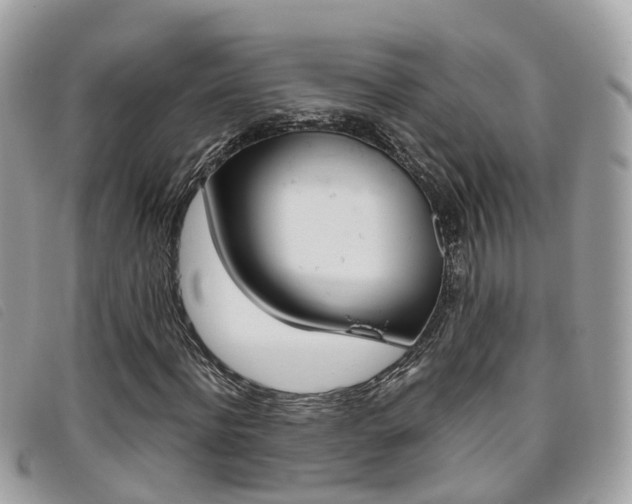 X0000095910916200801110824