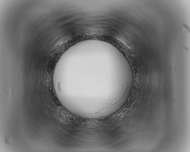 X0000095910917200801110824