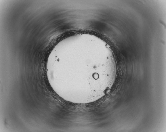X0000095910918200801110824