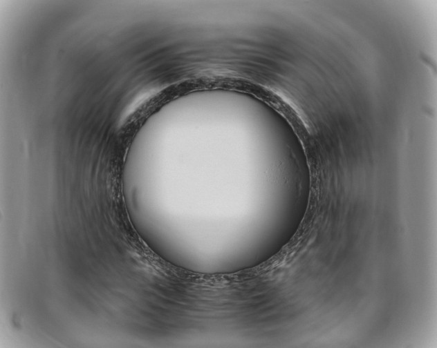X0000095910919200801110824
