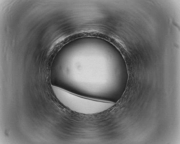 X0000095910920200801110824