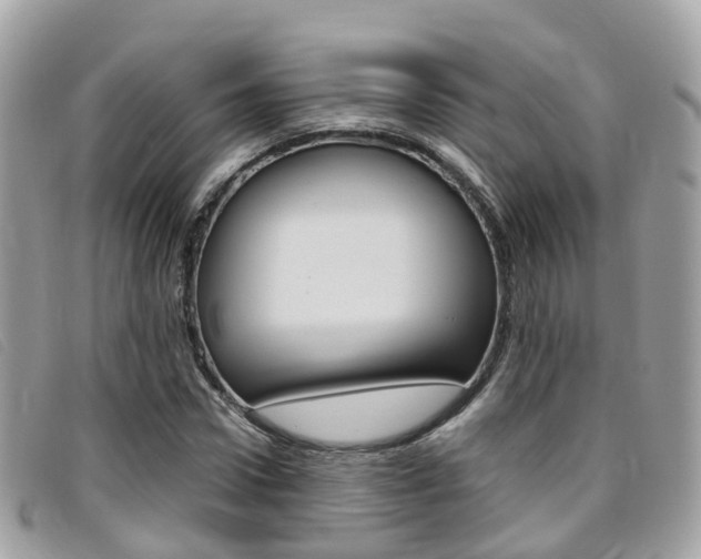 X0000095910922200801110824