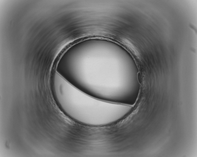 X0000095910924200801110824