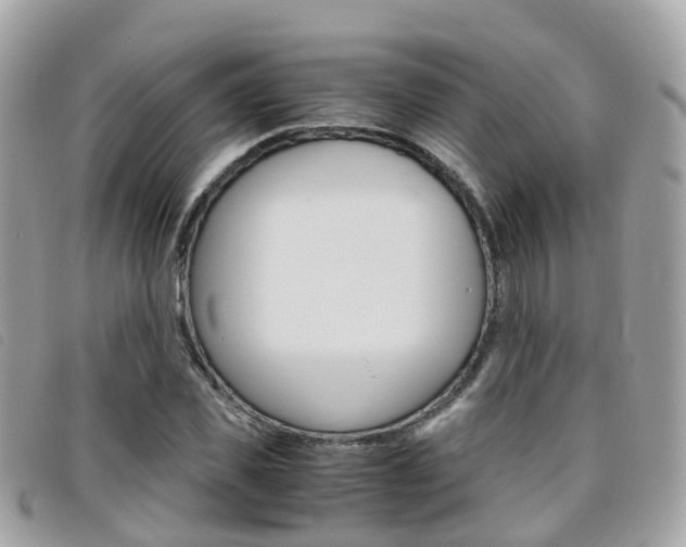 X0000095910925200801110824
