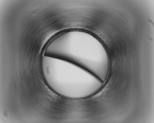 X0000095910926200801110824