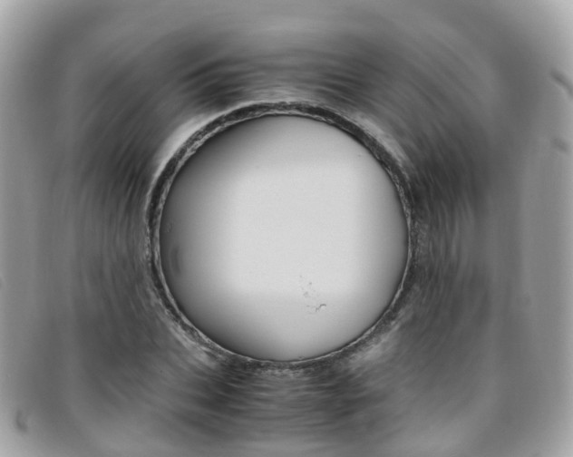 X0000095910927200801110824