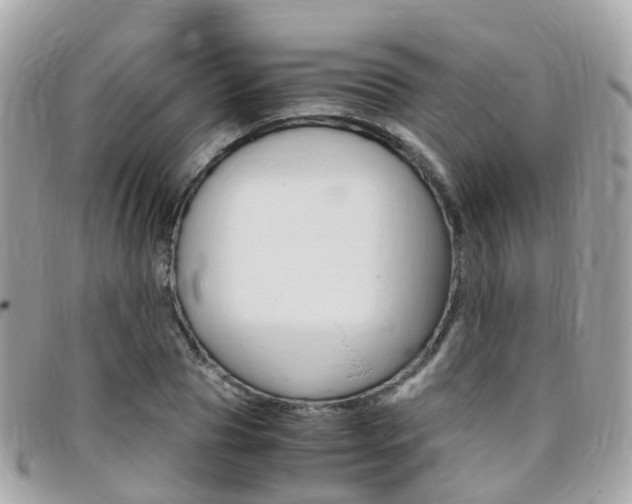 X0000095910929200801110824