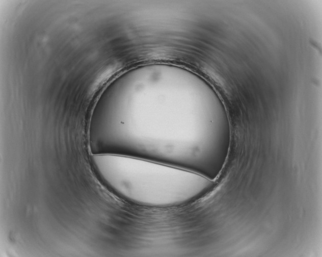 X0000095910930200801110824