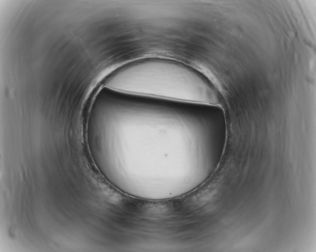 X0000095910931200801110824