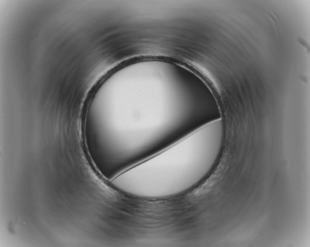 X0000095910935200801110824