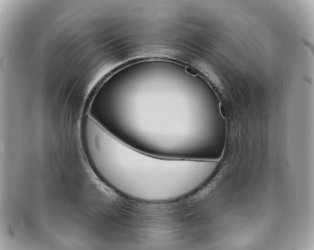 X0000095910936200801110824
